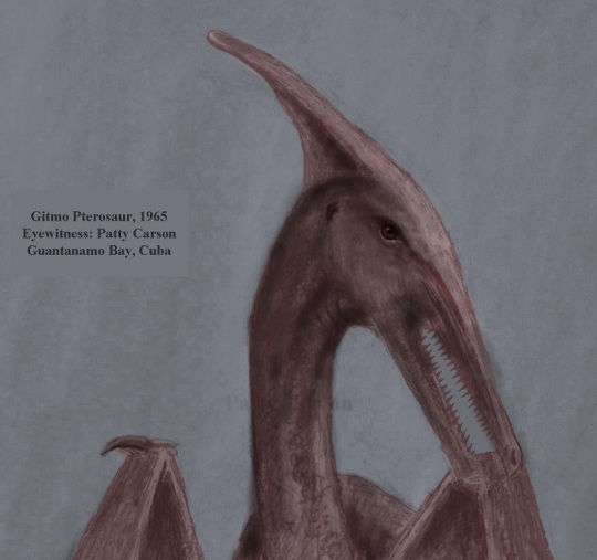 sketch by Patty Carson: long-tailed featherless flying creature