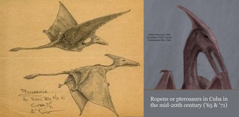 two sketches of pterosaurs by two eyewitnesses