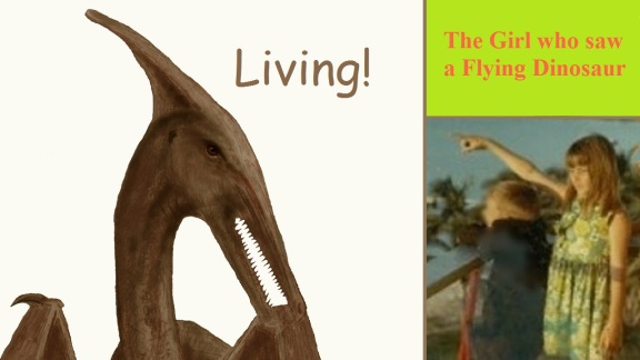 thumbnail for video "The Girl who saw a Flying Dinosaur"